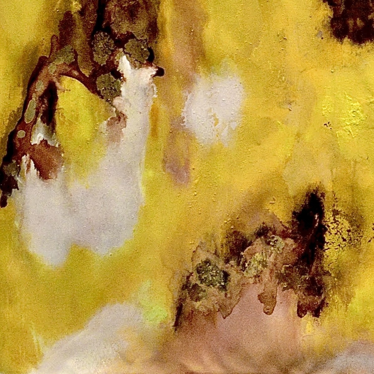 First Light — detail