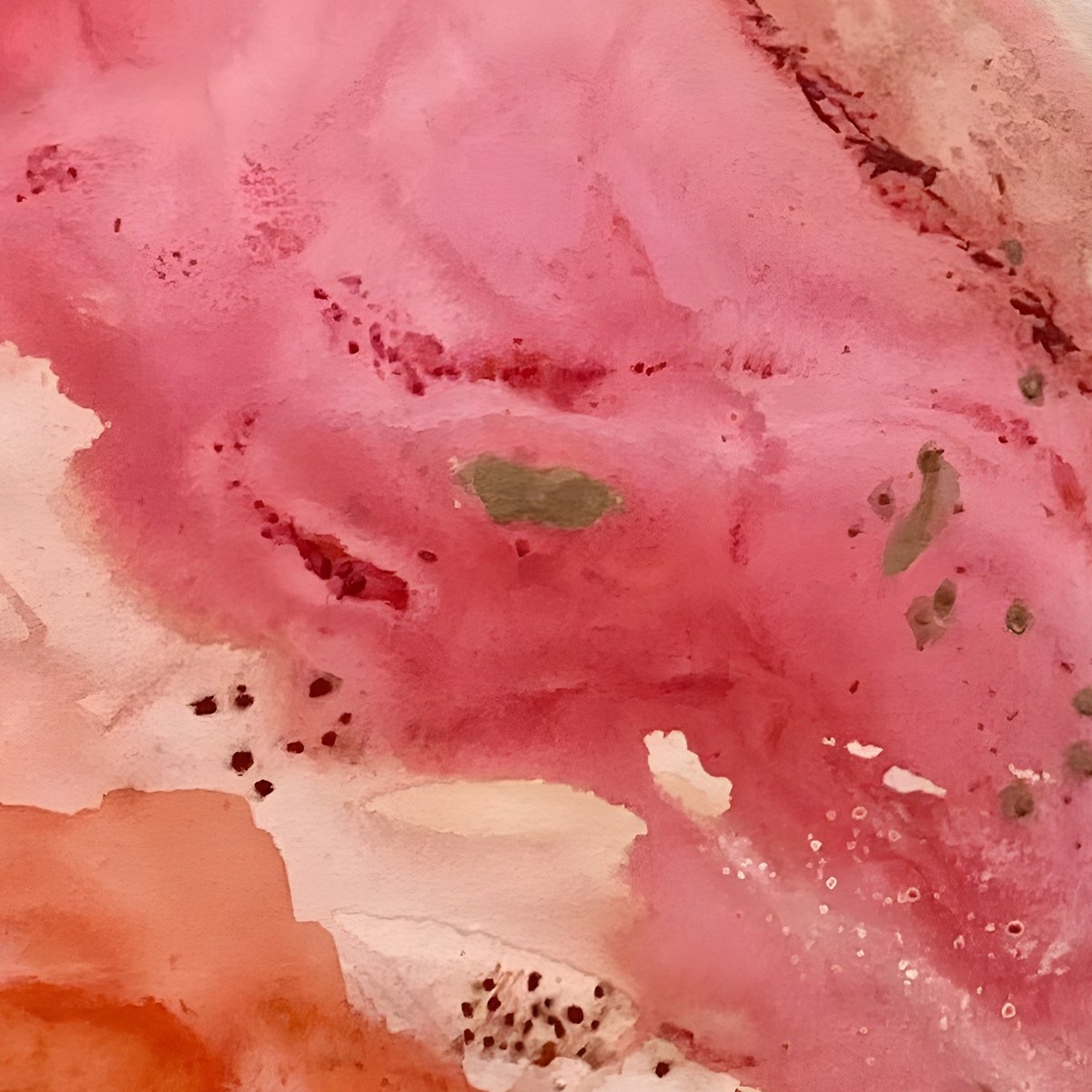 Bougainvillea — detail