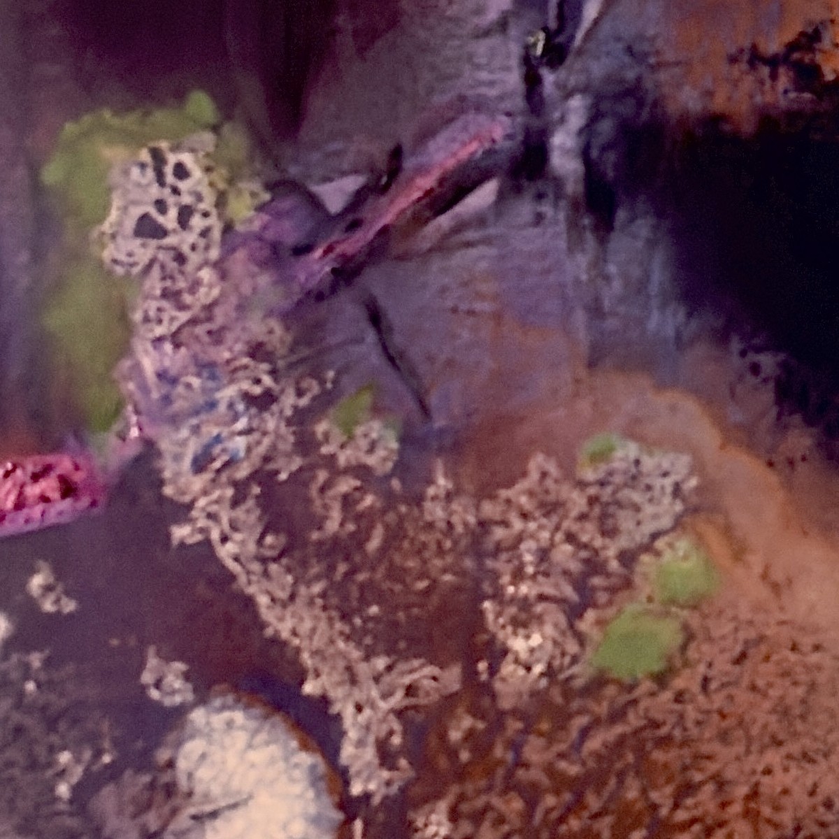 The Night Garden, No. 4 — detail