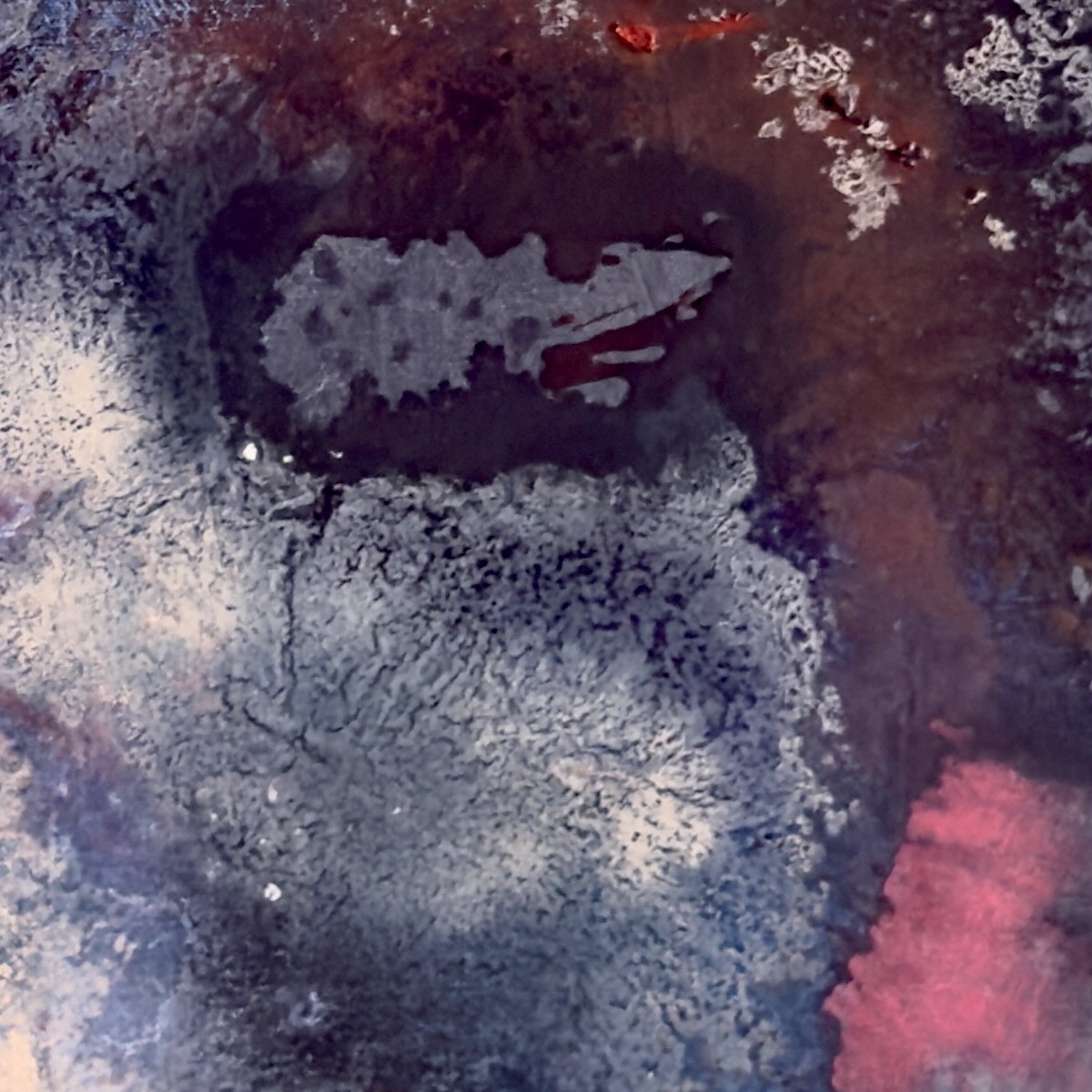 The Night Garden, No. 7 — detail
